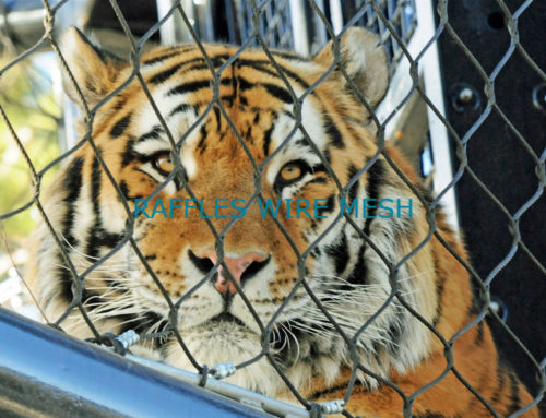 TIGER ENCLOSURE CAGE CASE