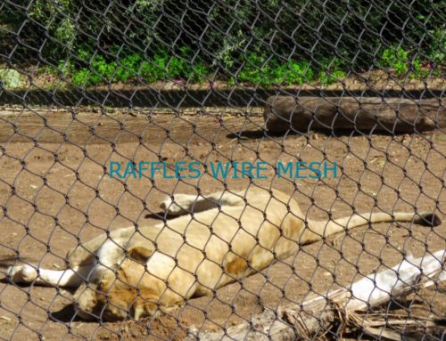 LION ENCLOSURE FENCE NETTING